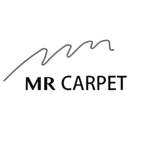 mr carpet (16)